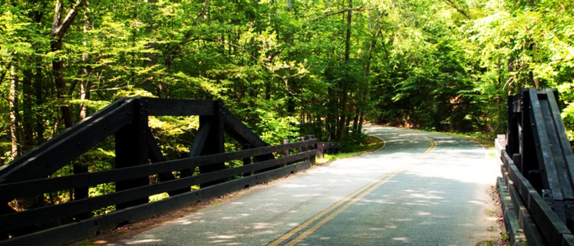 Scenic Road Trips - Virginia Route 619
