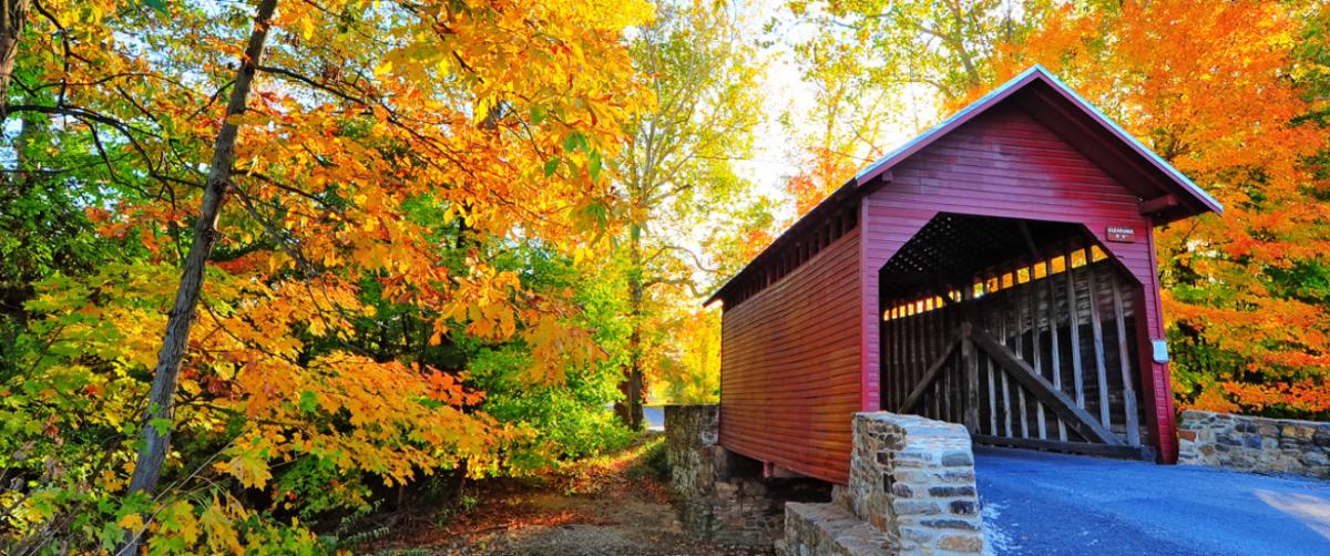 Fall Foliage At The Roddy Road Covered Bridge In Frederick County, MD