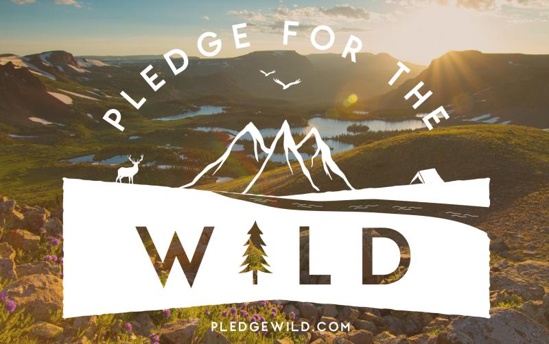 Pledge for the Wild, Steamboat Springs, Colorado