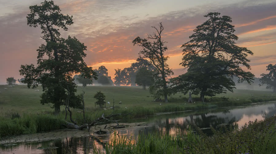 Sherborne Park Estate (National Trust)