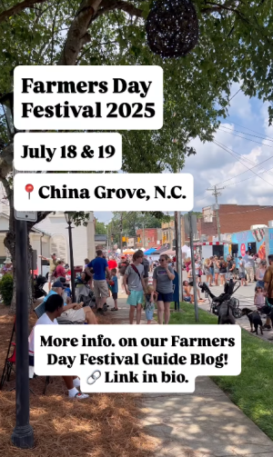Screen capture of a Farmers Day Festival short-form video.