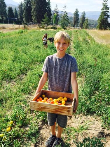 Hunter of Sunshine Farms