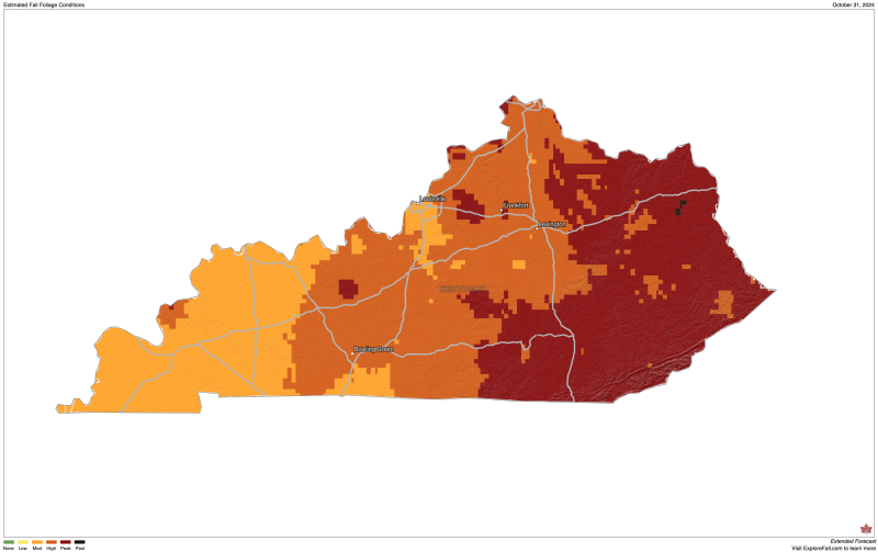 Fall Map