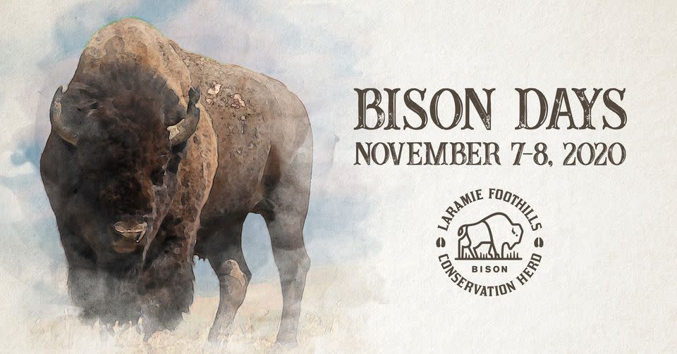 Bison Days 2020