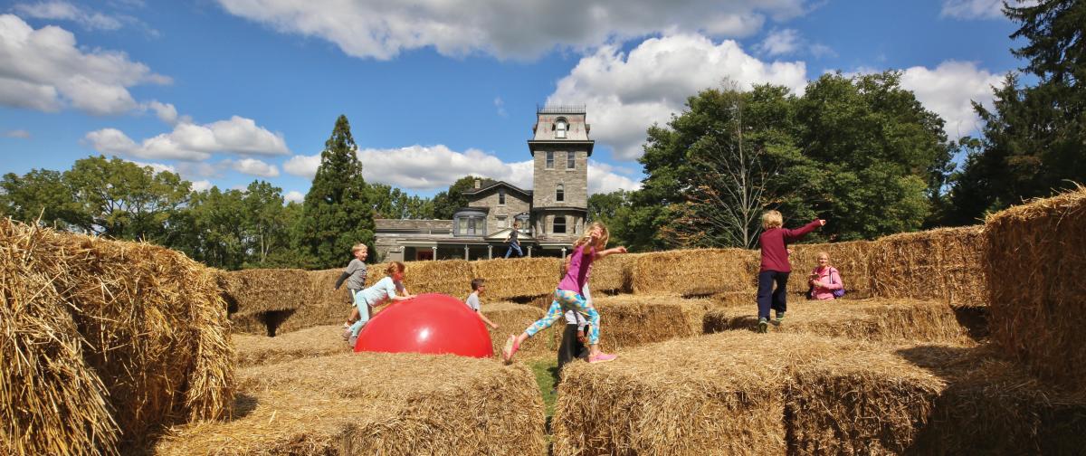Woodmere Straw Maze