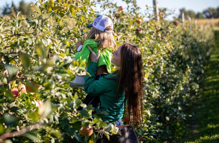 Woman and girl apple picking at Wickham Farms