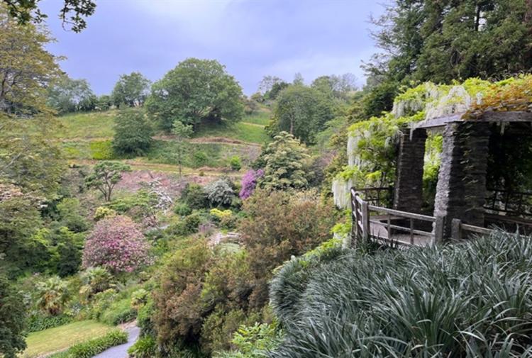 Banish the winter blues with the National Trust in Devon: Events Jan-March 2025