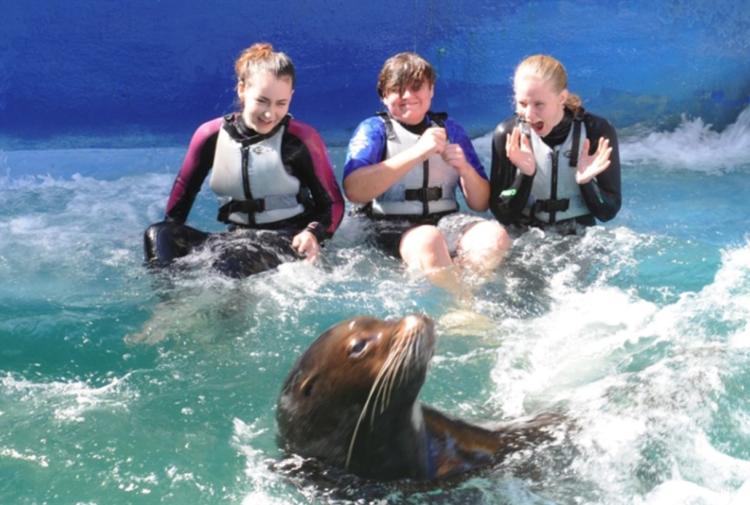 Combe Martin Wildlife Park