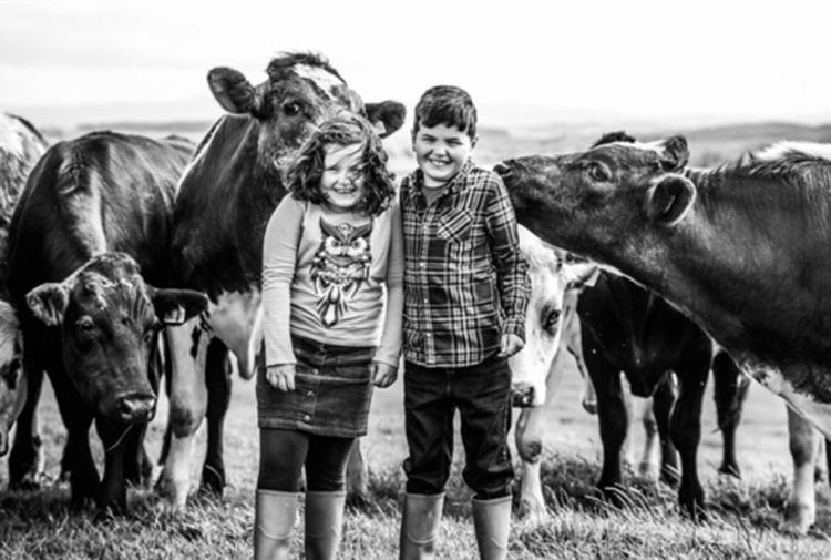 Choose a farm holiday this spring