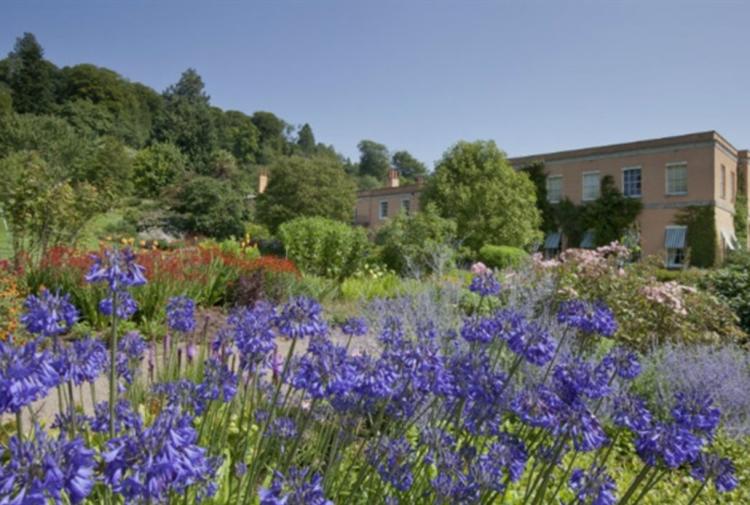 Things to do in Mid Devon this spring