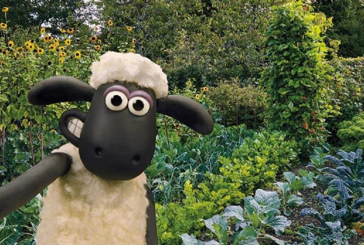 Shaun the Sheep taking a selfie at RHS Rosemoor