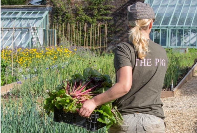 Enjoy a foodie break in Devon this year