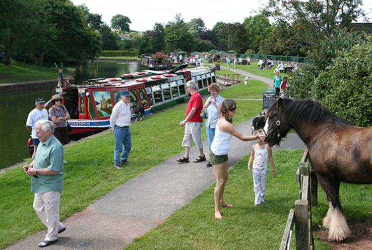 Ideas for May half term in Devon
