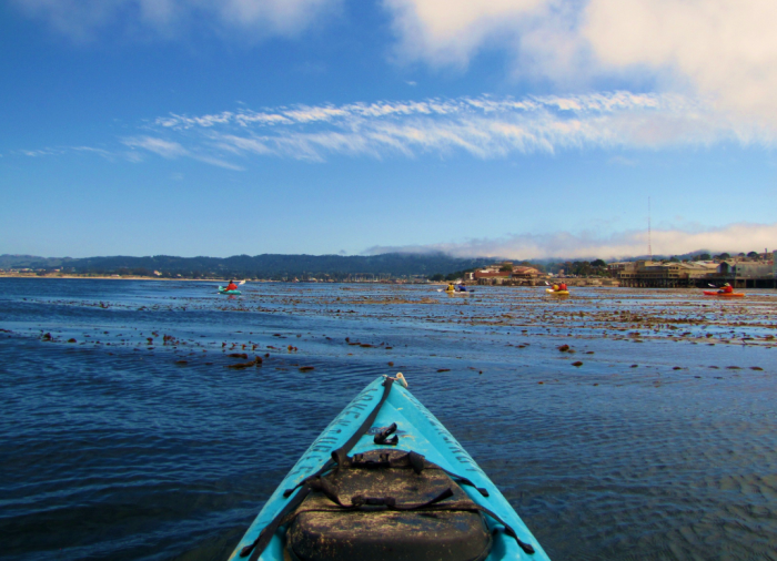 Kayaking Monterey Bay