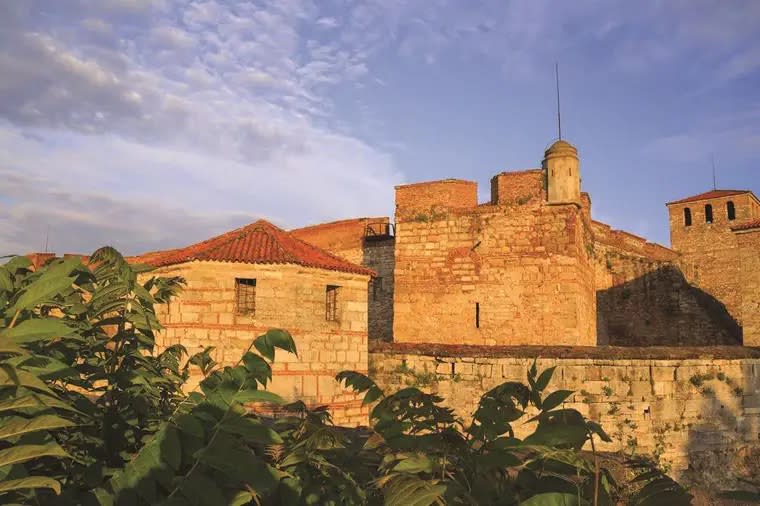 Vidin