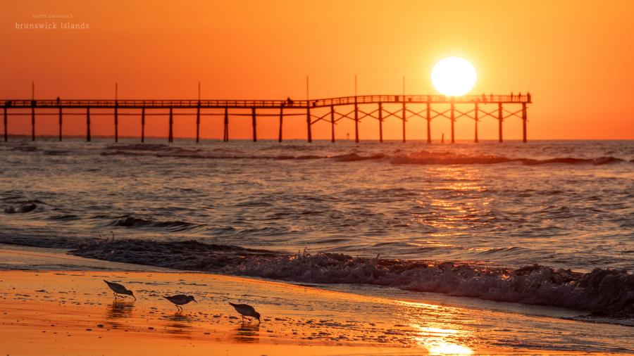 a sunrise over a pier with 3 shorebirds in shadow in the foreground