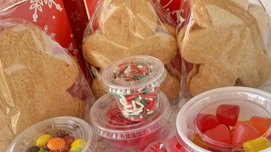 Gingerbread Cookie Decorating Kit