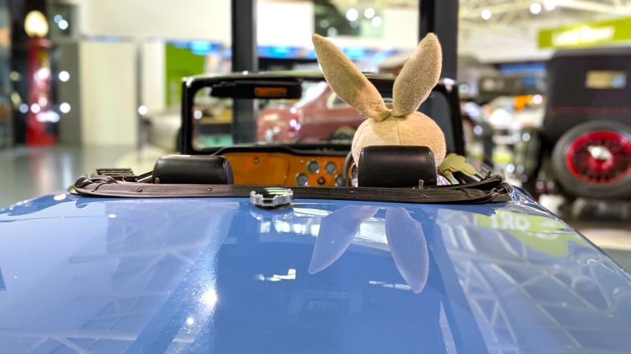 A large bunny sits in the driver's seat of a blue sports car at The British Motor Museum