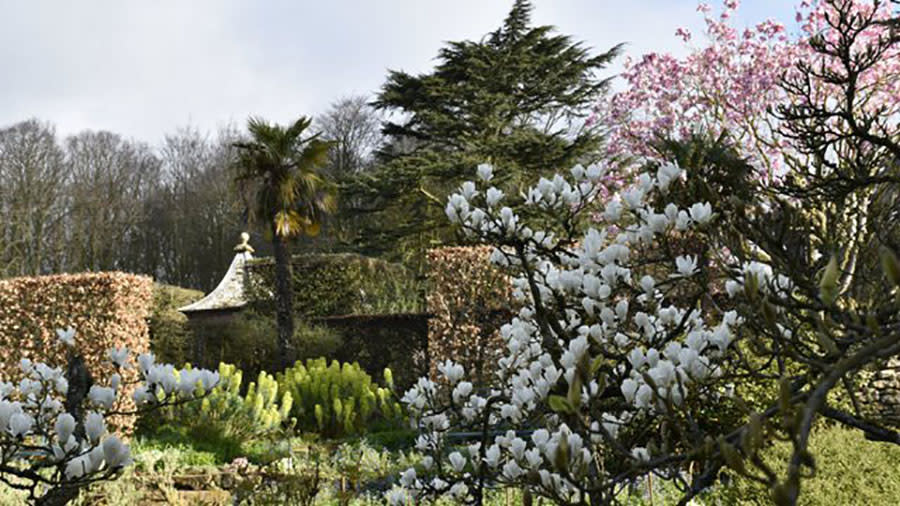 Spring blossom at Hidcote Gardens
