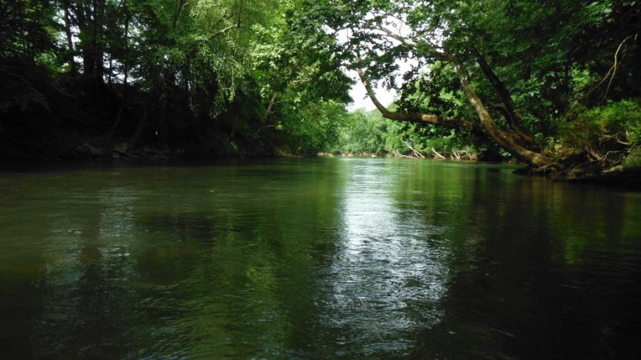 The Flint River provides the perfect setting for a relaxing day out in nature.