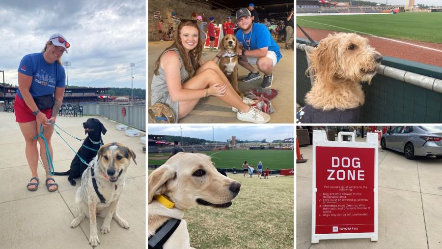 Rocket City Trash Pandas Dogs