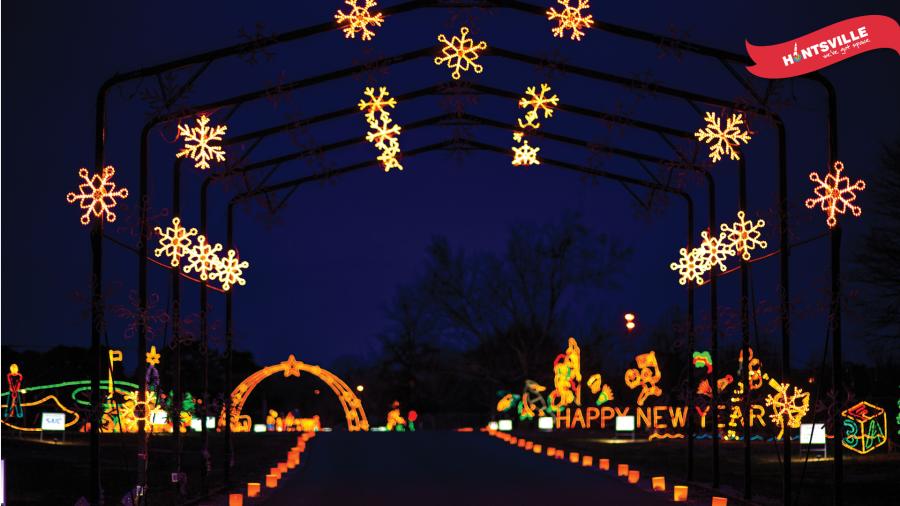 Holiday Zoom - Galaxy of Lights arch