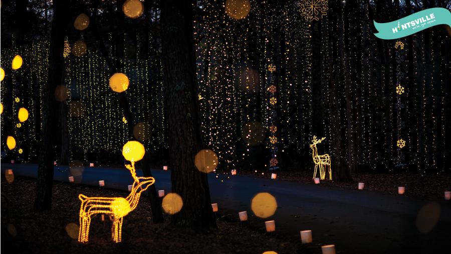 Holiday Zoom - Galaxy of Lights deer