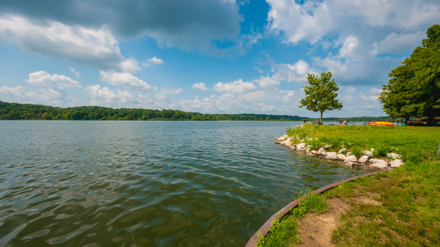 water with trees and blue sky