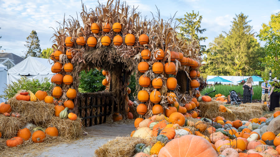 Harvest at Newfields