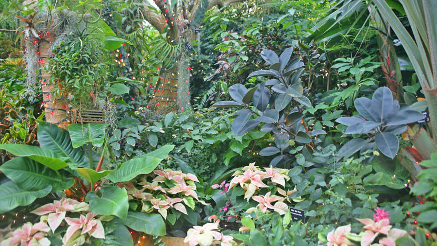 Garfield Park Conservatory