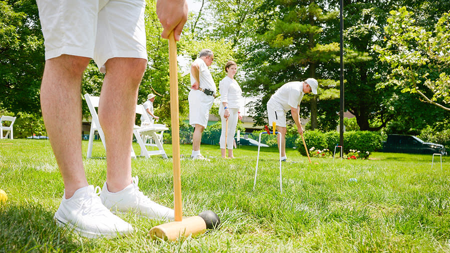 Wicket World of Croquet