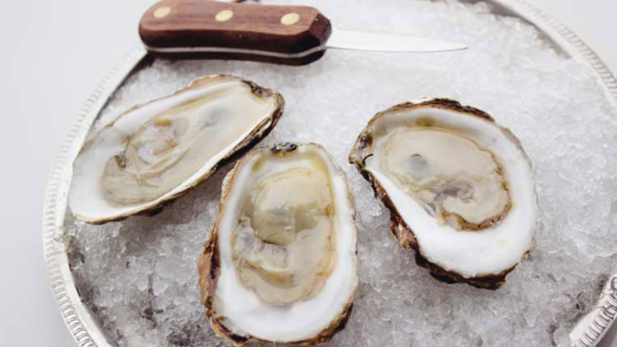 Blupoint Oysters