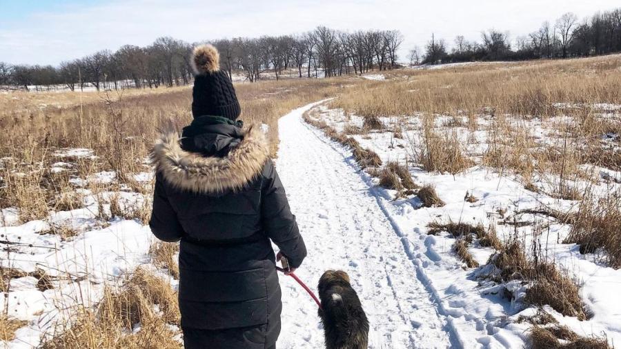 Copy of Winter Hiking with Dogs