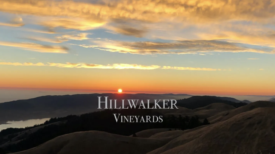 Hillwalker Vineyards
