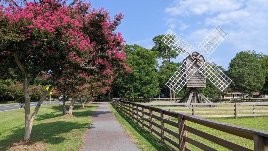 windmill island farm flower blog