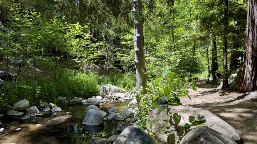 Strawberry Creek at Idyllwild