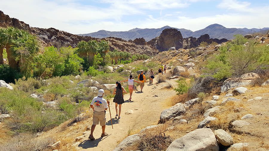 hiking in Indian Canyons Palm Springs
