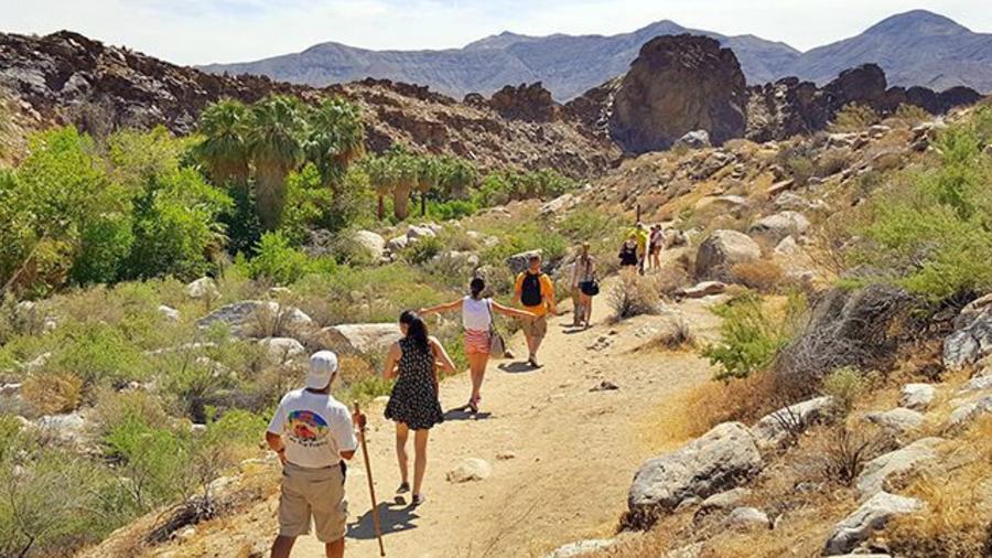 hiking in Indian Canyons Palm Springs