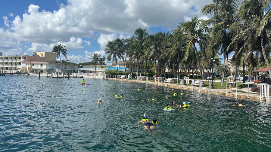 A group of young individuals snorkeling in calm water in Wahoo Bay on a sunny day with a few puffy clouds.