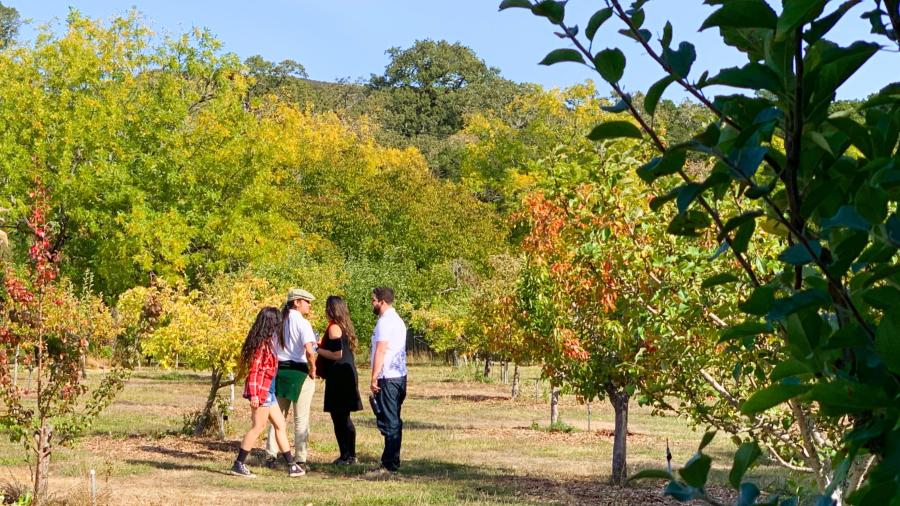 Orchard days at Filoli in Woodside Ca
