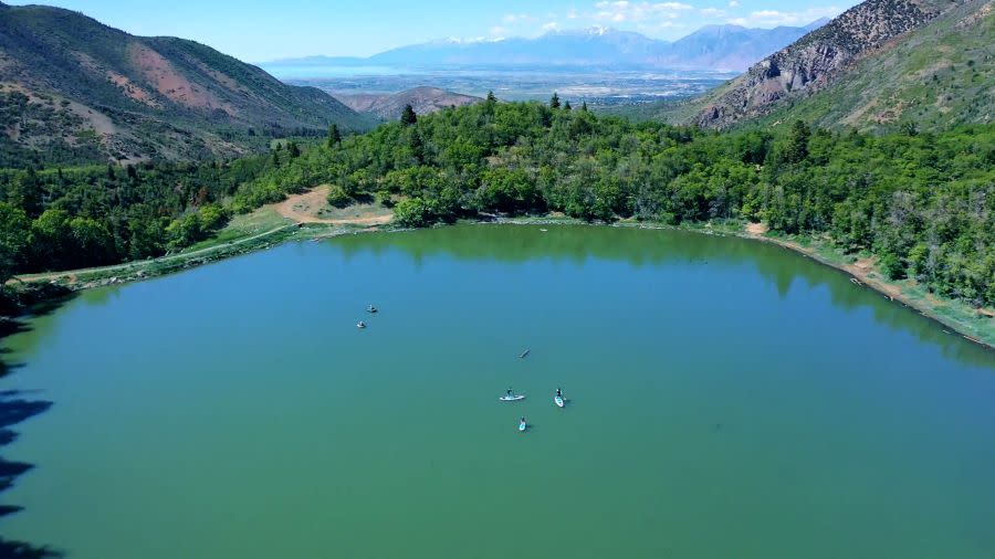 maple lake aerial in summer time