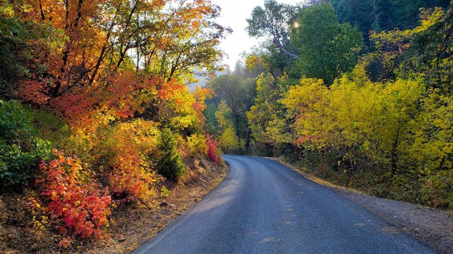 Hobble Creek Canyon's Right Fork