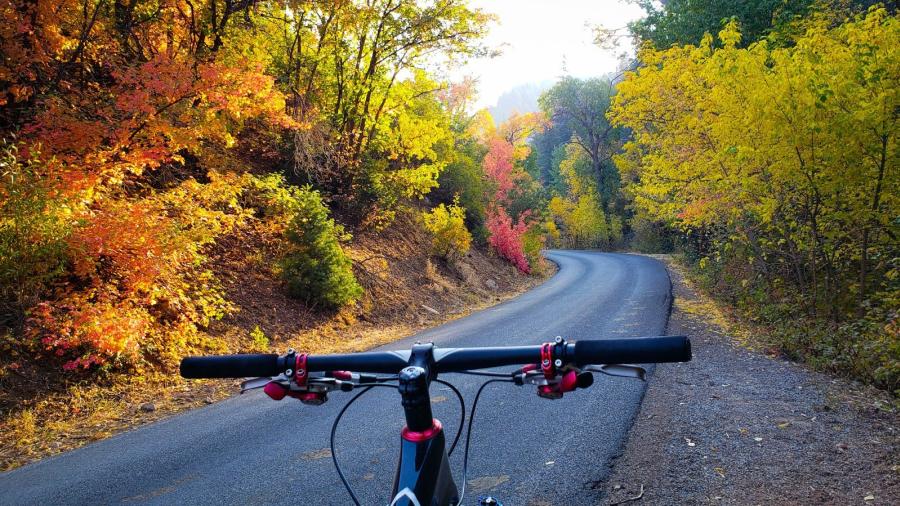 Hobble Creek Canyon South Fork Canyon Bike