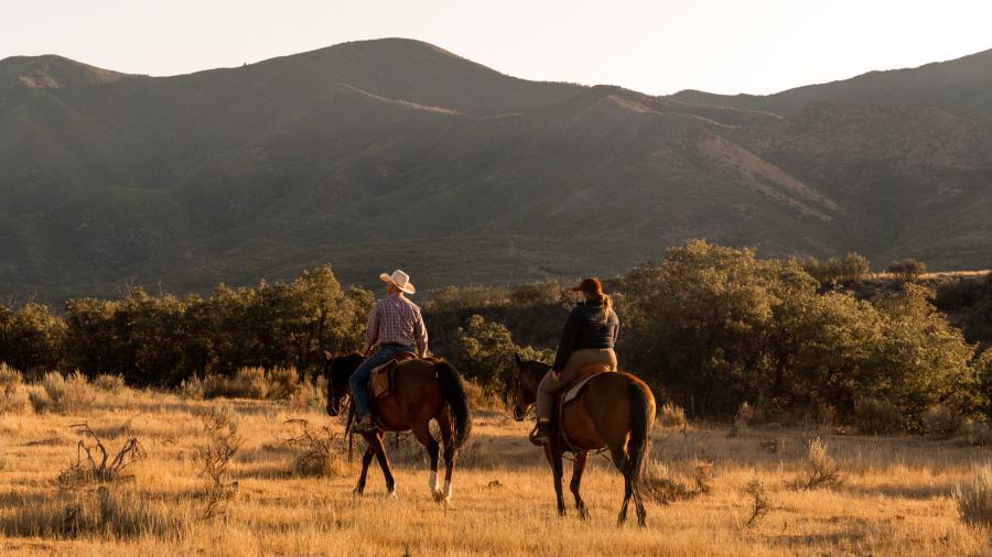 Hobble Creek Outfitters Horseback Ride