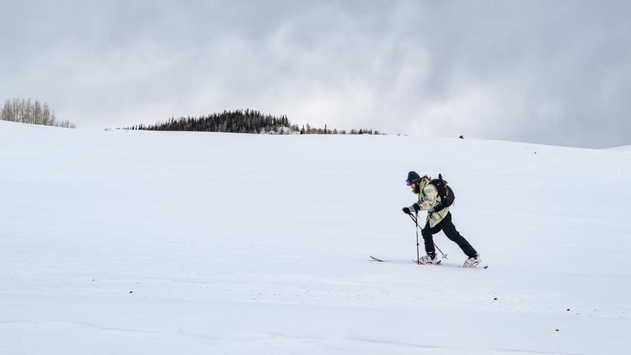 Cross Country Skier