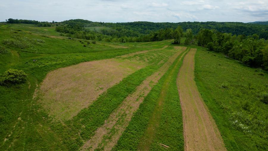 Wild Acres Farm, Fishery & Hunting Preserve