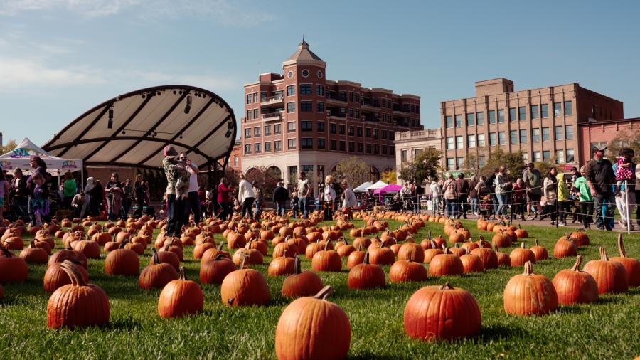 Harvest Fest