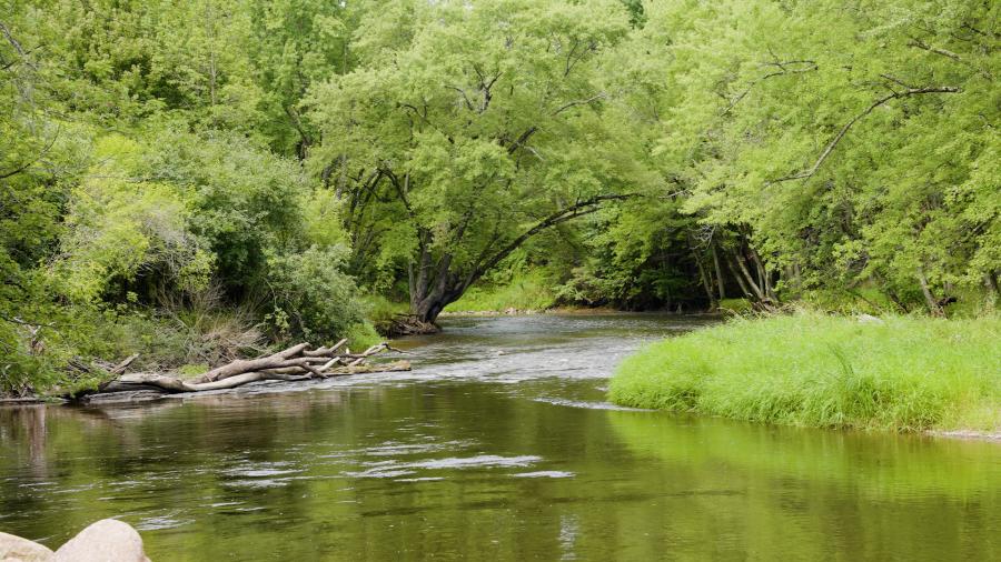 Eau Claire River Trail