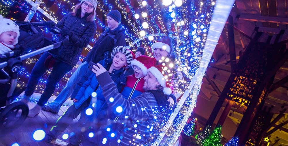 Christmas lights holiday season at the Indianapolis Zoo