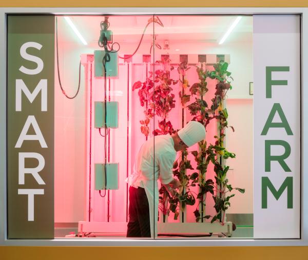 The Smart Farm inside the Greater Columbus Convention Center